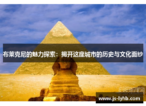 布莱克尼的魅力探索：揭开这座城市的历史与文化面纱